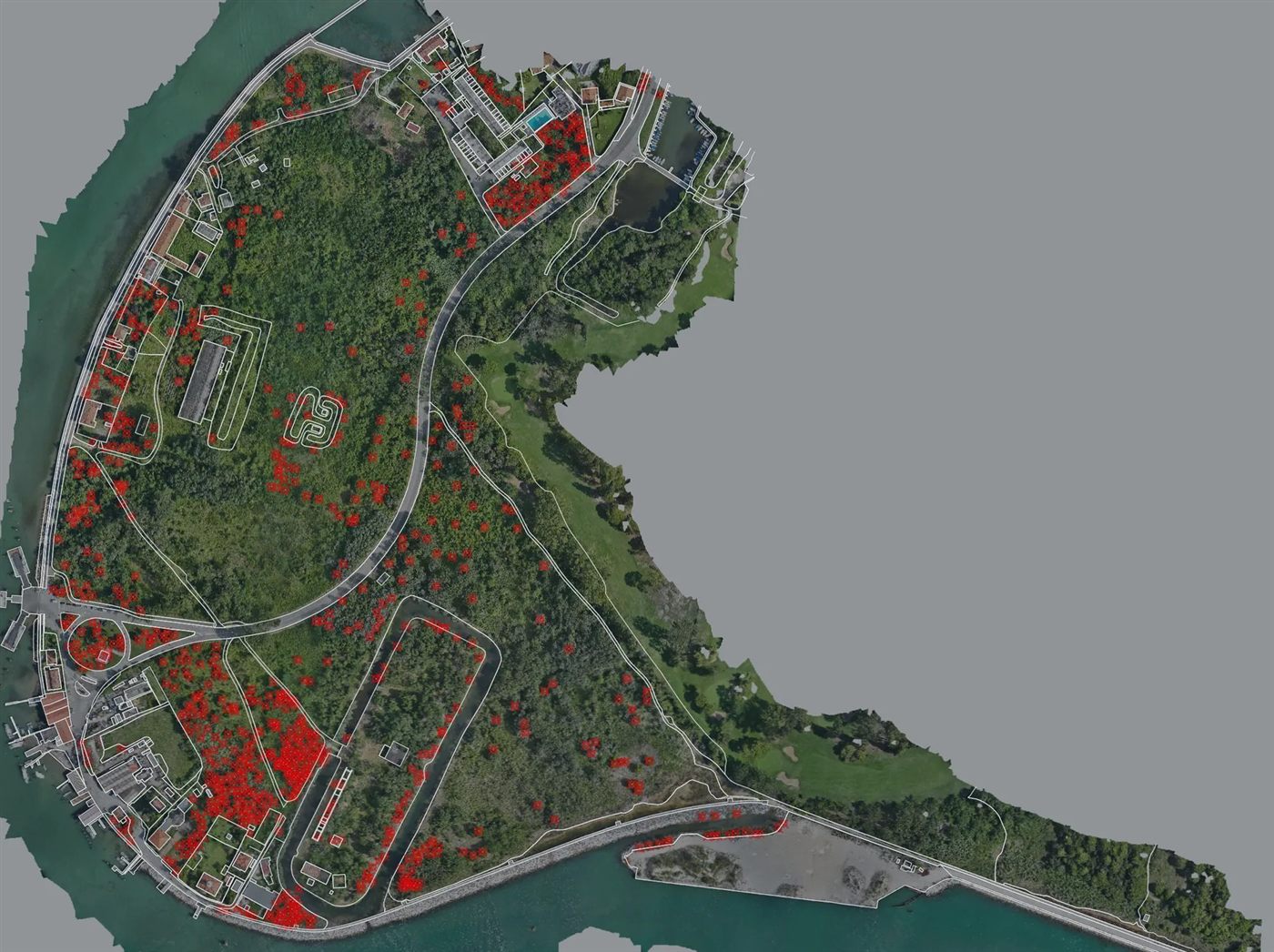 Bosco della Rocchetta a Malamocco, Lido di Venezia — ortofoto dal drone
